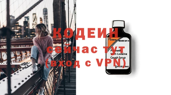 индика Вязники