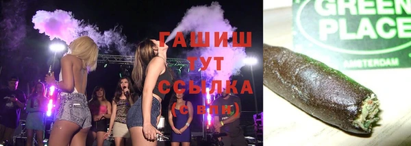 индика Вязники