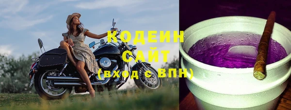индика Вязники