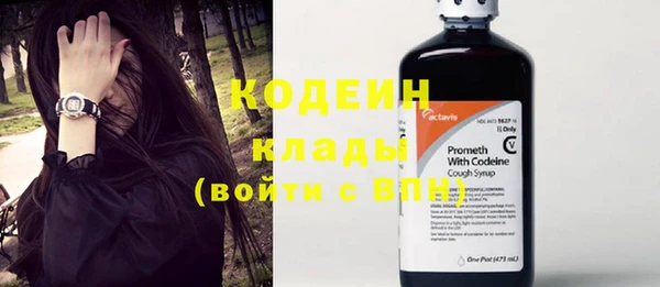 индика Вязники