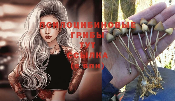 индика Вязники