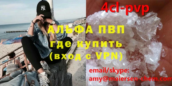 индика Вязники