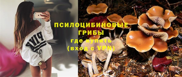 твердый Горнозаводск