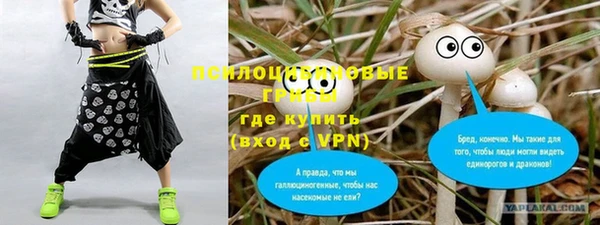 соль курить ск Вяземский