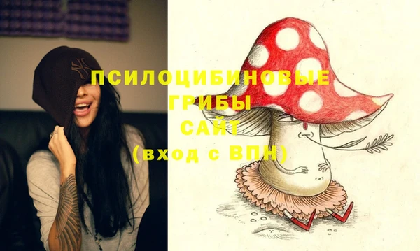 соль курить ск Вяземский