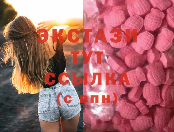 индика Вязники