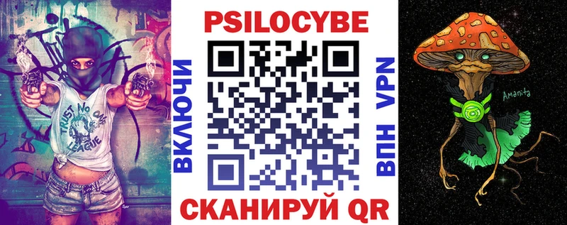 купить наркотик  Заволжье  Галлюциногенные грибы MAGIC MUSHROOMS 